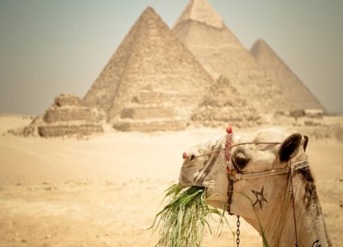 TOUR TO GIZA PYRAMIDS MEMPHIS SAKKARA AND FELUCCA ON THE NILE