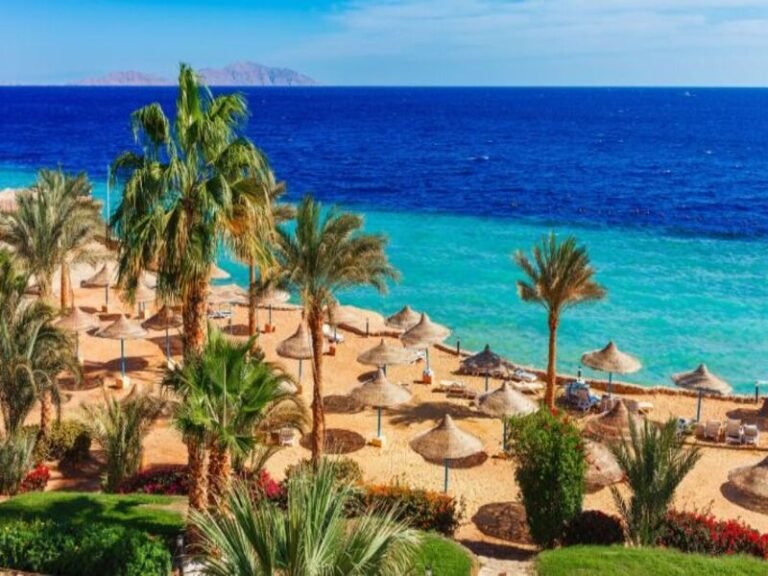 The Red Sea Riviera: A Paradise for Beach Lovers – Djoser Tours