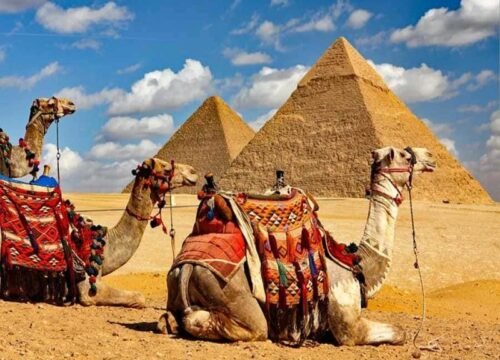 DAY TOUR TO GIZA PYRAMIDS WITH CAMEL RIDE AND EGYPTIAN MUSEUM IN CAIRO