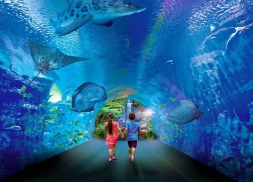 GRAND AQUARIUM HURGHADA WITH PRIVATE TRANSFER