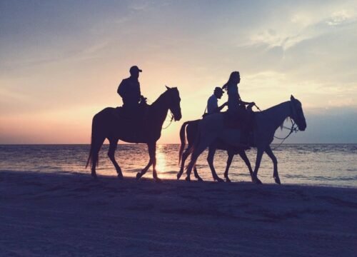 ADVENTURE SAFARI BY HORSE IN HURGHADA DUIRING SUNSET OR SUNRISE